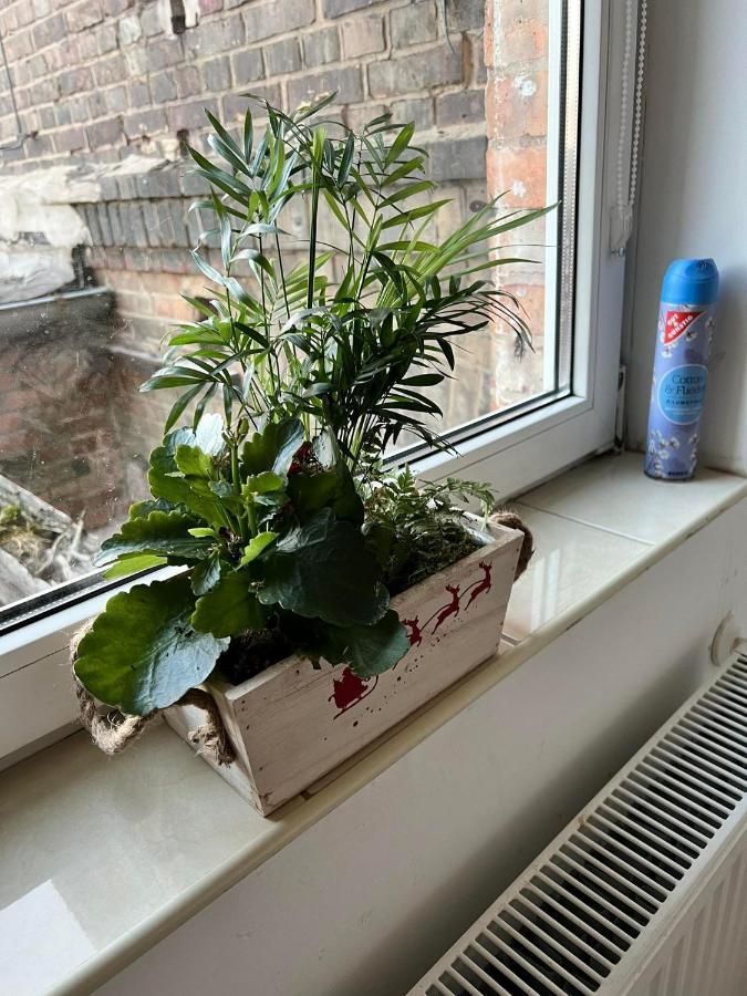 Wohnung 18 Lutherstadt Eisleben Exteriör bild